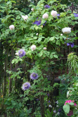 glamis_castle_IMG_3761.jpg