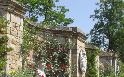 Rosenzeit in England 2018 02.jpg
