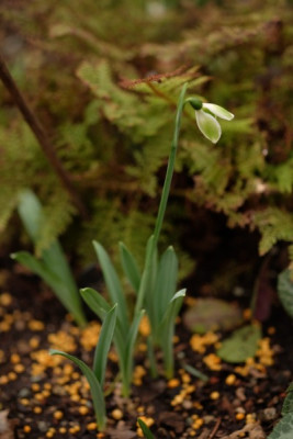 DSCF7345_3577.JPG
