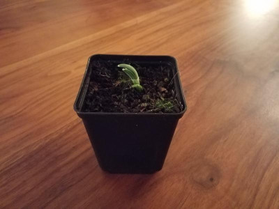 20190116_220705.jpg