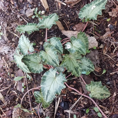 20190117_140646.jpg