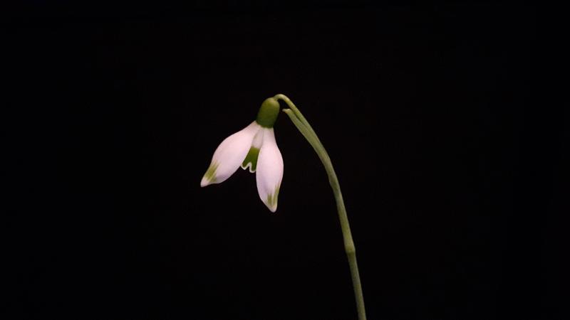 20190117_191646.jpg