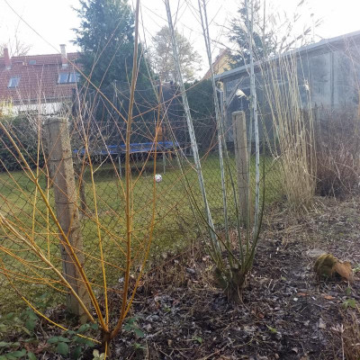 20190117_141253.jpg