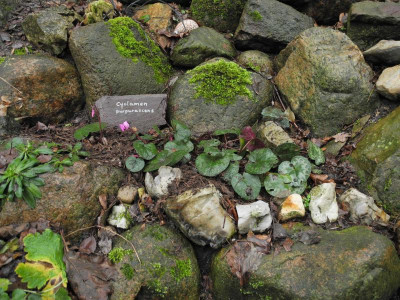 DSCN4008.JPG