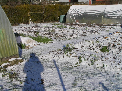 Januar 2019 003.JPG