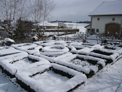 P1000067.jpg
