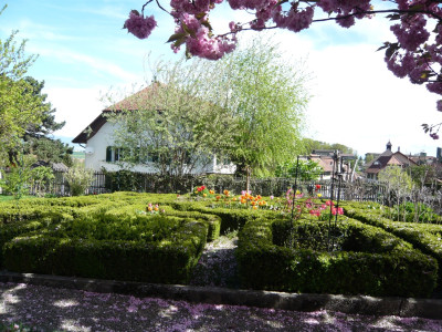 P1000957.jpg