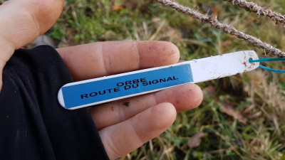 20190119_131718.jpg