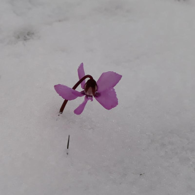 20190119_145447.jpg