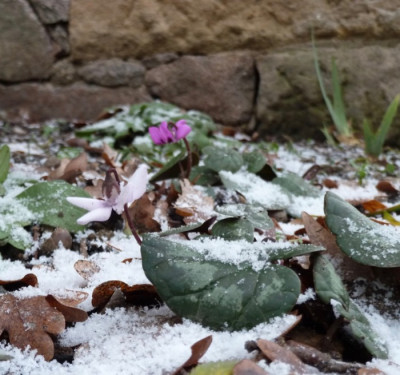 tg_190111_2.jpg