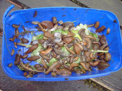 PICT0538.JPG