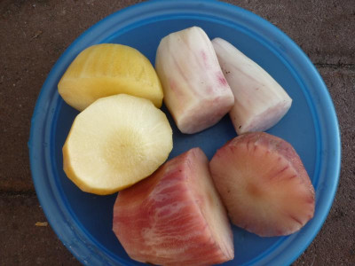 P1050440.JPG