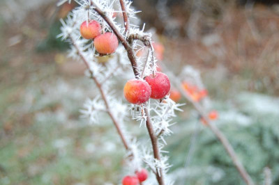 DSC_1000.JPG