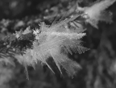 20190120_173833.jpg