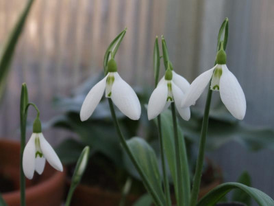 DSCF5828.JPG