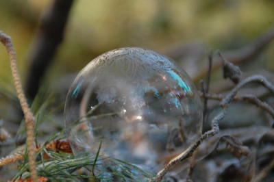 DSC_4688.JPG