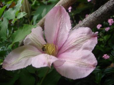 Nadezhda_0507.jpg