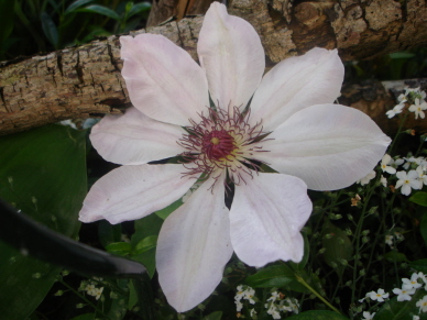 Dawn_0507.jpg