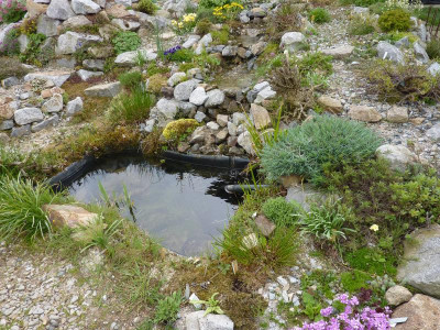 Teich mit Bachlauf_21.04.2014.JPG
