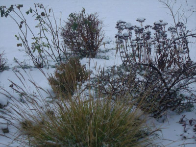 DSC02414.JPG