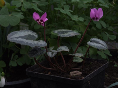DSCF5834.JPG