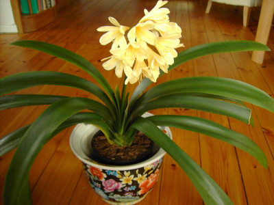PICT1296.JPG