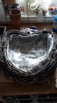 20190125_122637.jpg