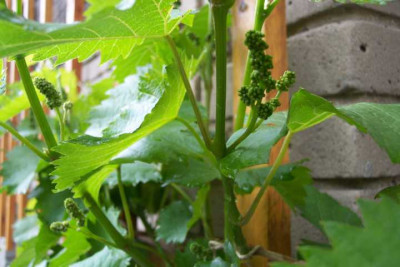 K640_100_3470.JPG