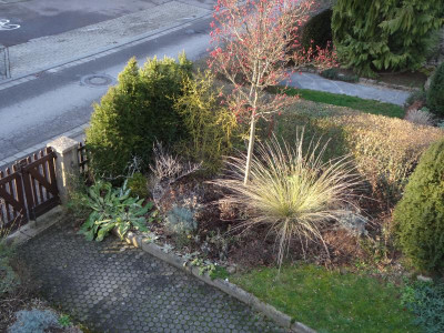 Winterbild I 17.1.19.JPG