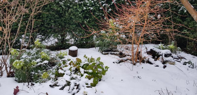 20190129_101841.jpg