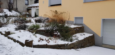 20190129_103008.jpg