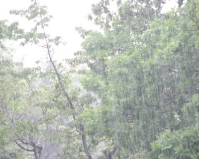 regen.jpg.jpg