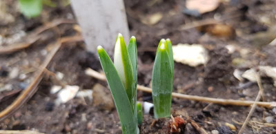 20190127_123606.jpg