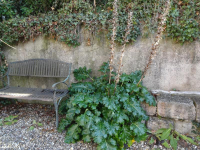 DSC09389.JPG