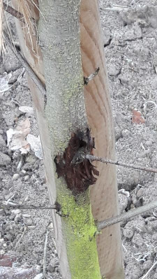 20190201_105939.jpg