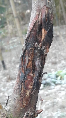 20190201_105957.jpg