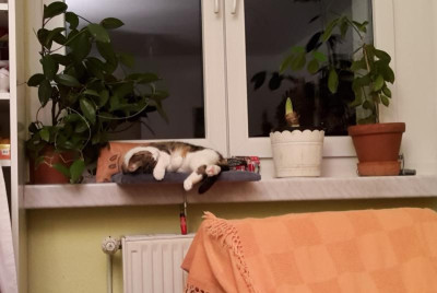 20190201_194152.jpg