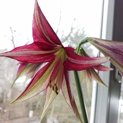 20190202_112930.jpg
