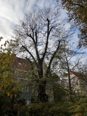 IMAG2575.jpg