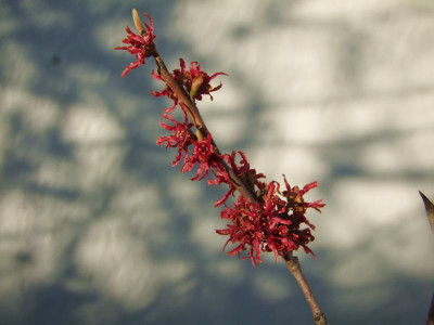 03.02.2019 15-59-21_7970.jpg