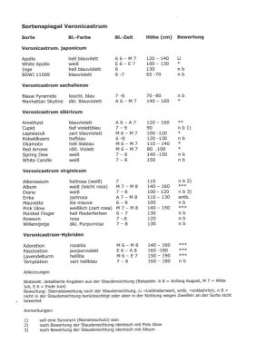 Sortenliste Veronicastrum.jpg