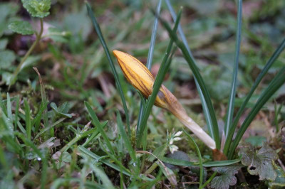 DSC09017.JPG