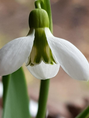 20190205_131059.jpg