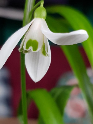 20190205_131217.jpg