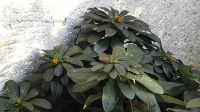 DSCN3952.JPG