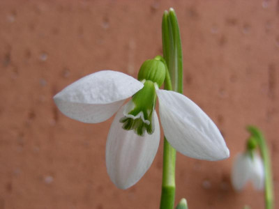 Bild 066.jpg