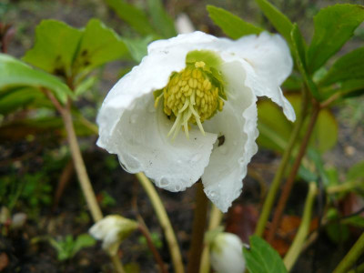 P1000001.JPG