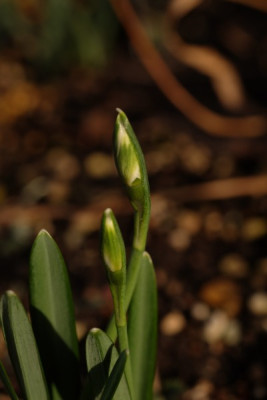 DSCF7556_3628.JPG