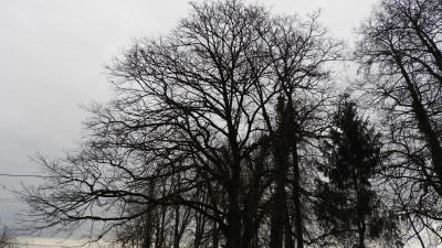DSCN3965.JPG