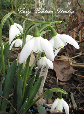2019-02-08 002 010.JPG